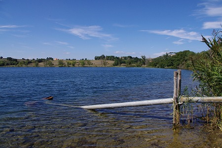 d0092439_22375876.jpg