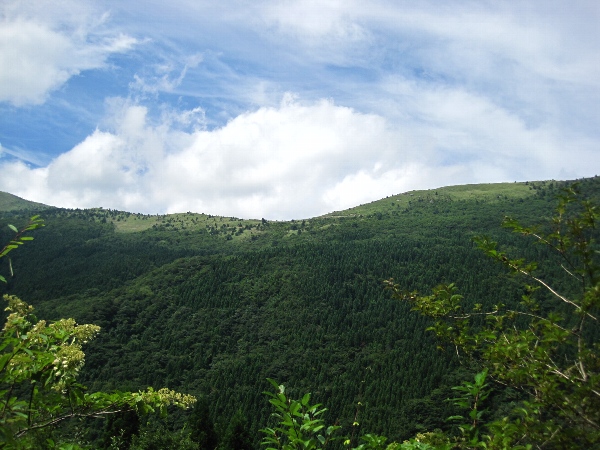 b0149340_2015211.jpg