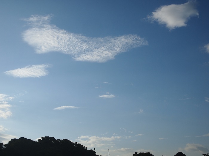 a0146442_7403135.jpg