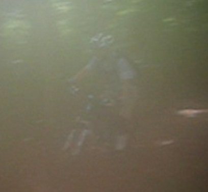 c0059543_19452568.jpg