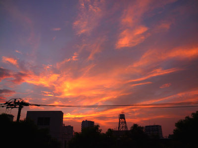d0039443_13322174.jpg