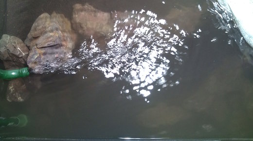 b0202747_0212550.jpg