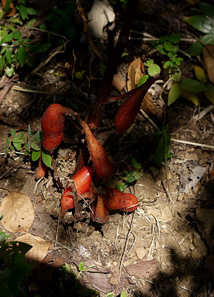 d0091754_1414951.jpg