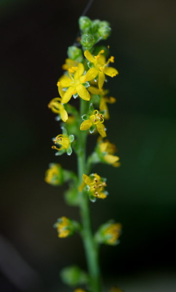 d0091754_15994.jpg