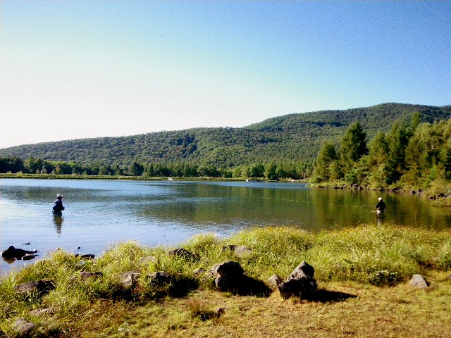 c0211357_19241869.jpg