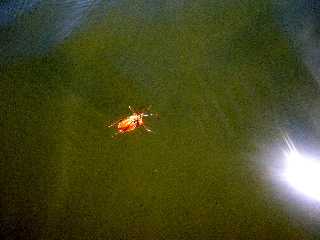 c0211357_19251518.jpg