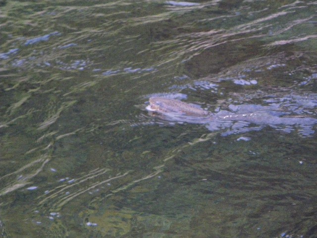 c0211357_19342669.jpg