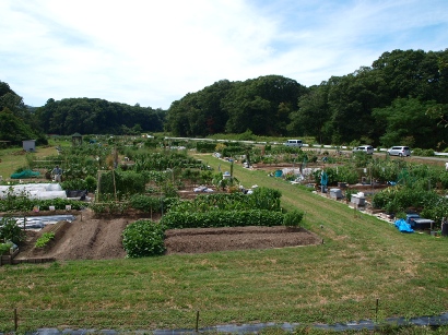 d0111558_1514195.jpg