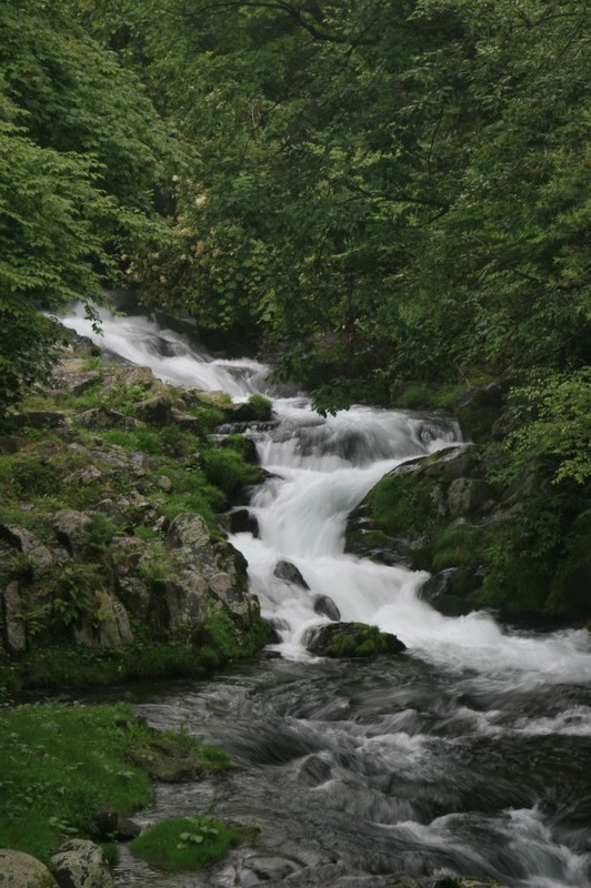 a0167759_20213476.jpg