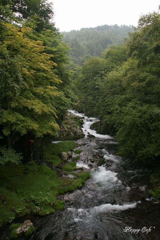 a0167759_20275337.jpg