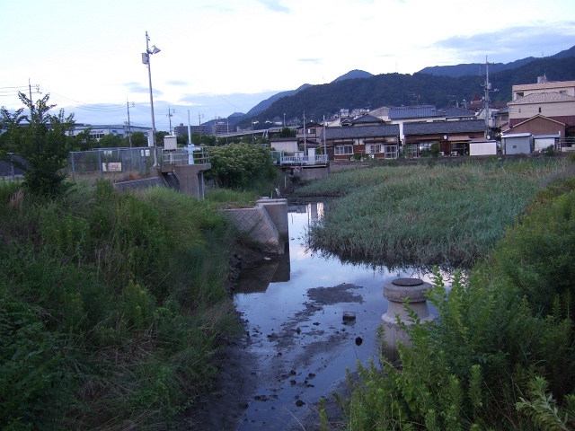 b0095061_14155059.jpg