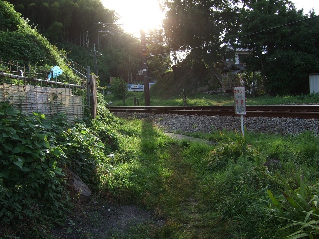 b0095061_1425579.jpg