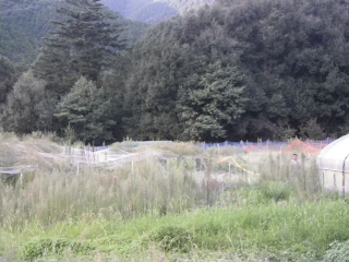 f0055264_21575562.jpg
