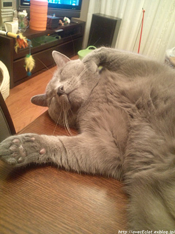 c0200365_23494799.jpg