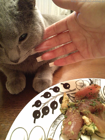 c0200365_23591090.jpg