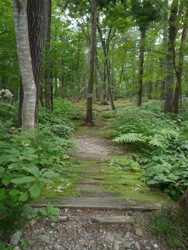 e0195766_0433382.jpg