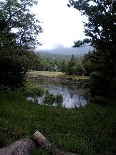 f0171268_2233523.jpg