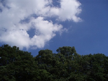 c0214272_22412698.jpg