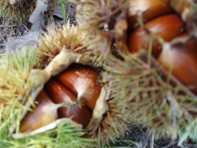 c0214272_22421621.jpg