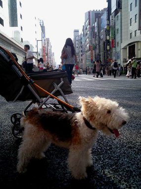 b0091373_1571599.jpg