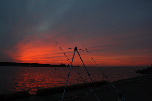 a0016775_22393626.jpg