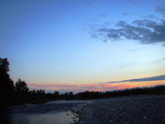 a0169776_2049263.jpg