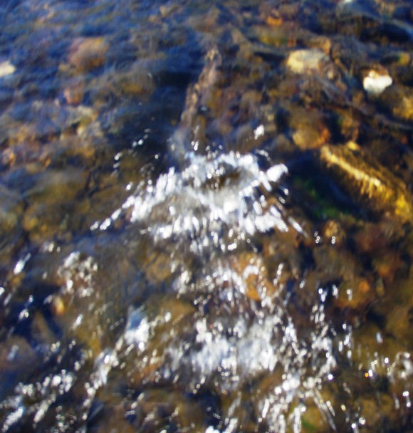 a0169776_21401897.jpg