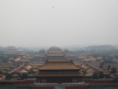 d0038679_145729.jpg