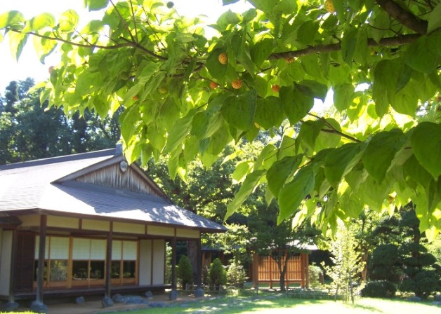 c0198781_123287.jpg