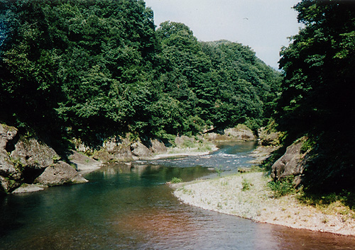 e0174382_10264518.jpg