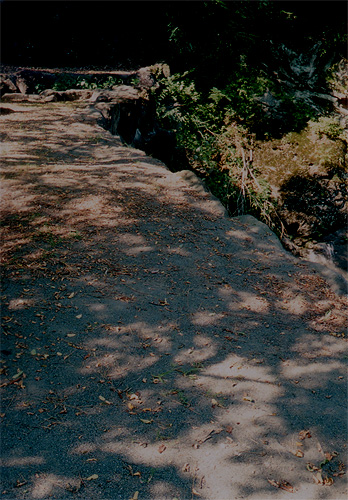 e0174382_10265687.jpg