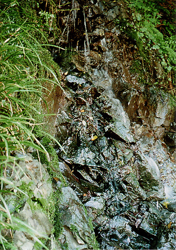 e0174382_1027981.jpg