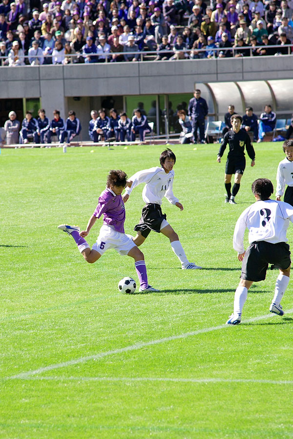 f0007684_1233082.jpg