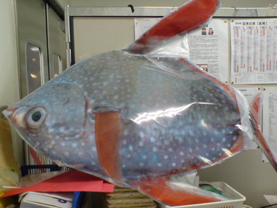 f0125585_11343381.jpg