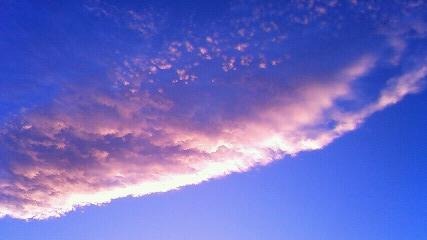 a0130586_20141891.jpg
