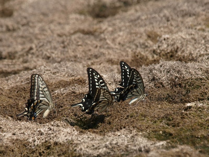 b0108186_23535727.jpg