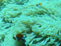c0212989_19273921.jpg