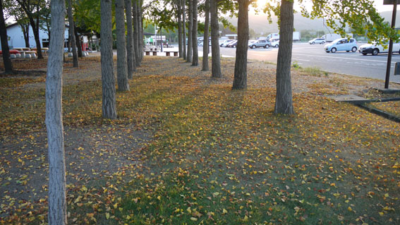 f0222692_11403831.jpg