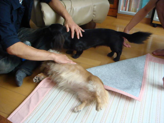 d0098295_1638562.jpg