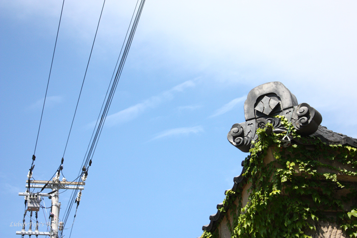 f0001895_20141261.jpg