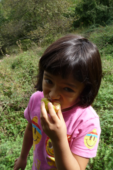 f0106597_0165288.jpg