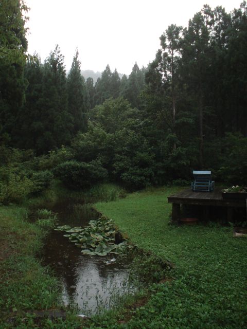 a0061599_627062.jpg