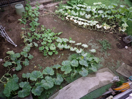 f0239100_22443848.jpg