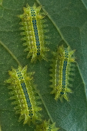 f0239100_22471276.jpg