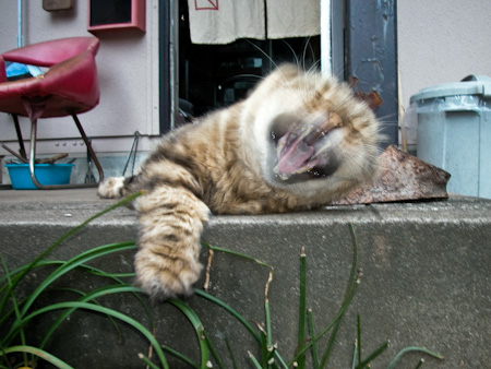 f0239100_2302011.jpg