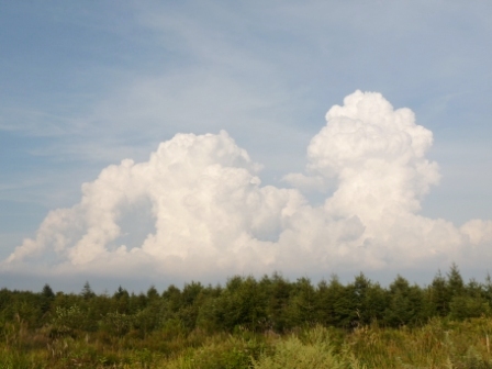 e0078510_001472.jpg