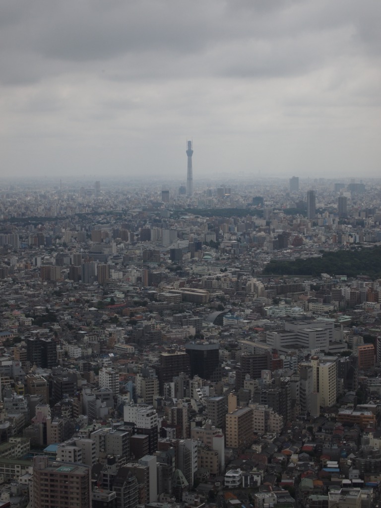 e0113915_81173.jpg