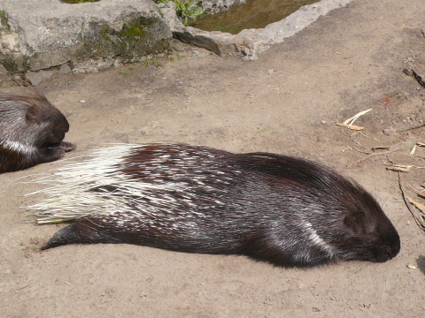 f0200015_1832629.jpg