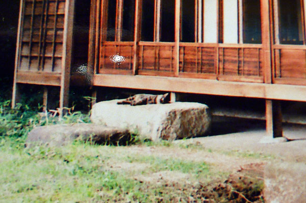f0056516_0201527.jpg