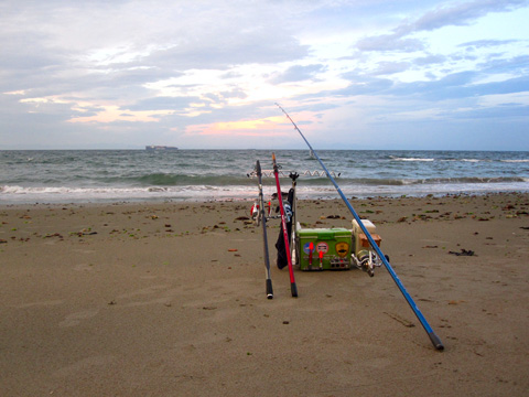 b0186119_17561645.jpg